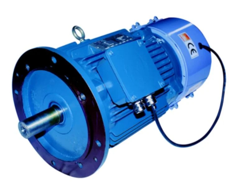 Crane And Hoist Duty Motors