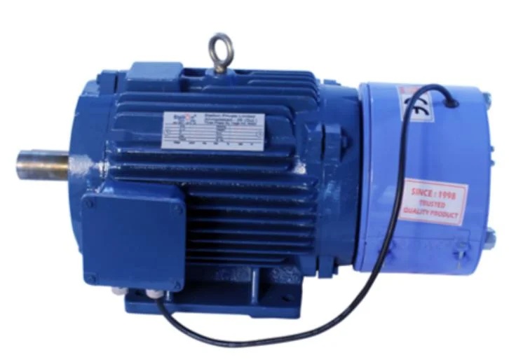 Electric Crane Duty Motor