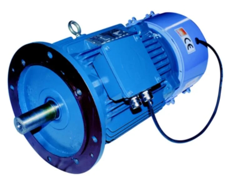 Electromagnetic Brake Motor