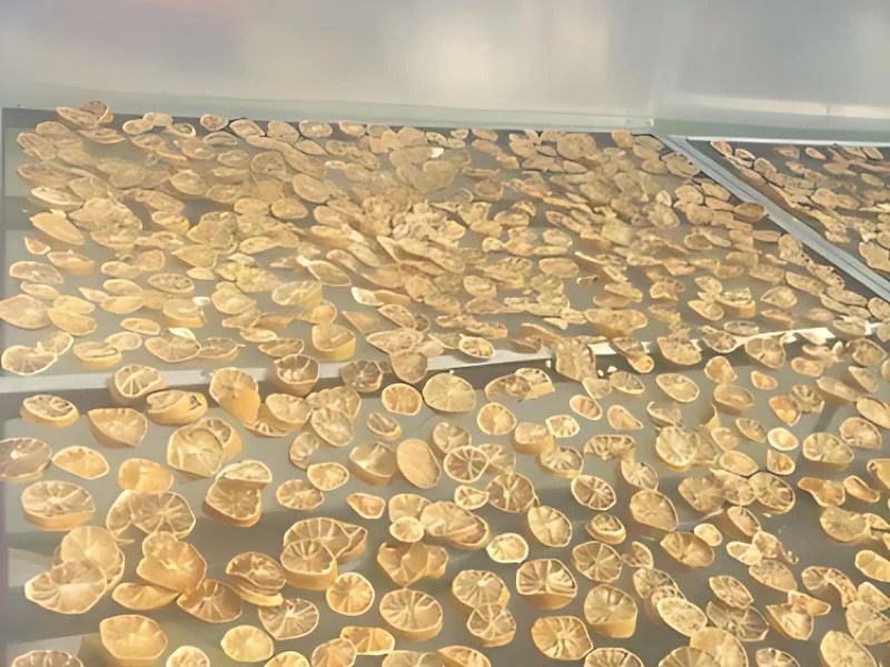 Dried Lemon Slices