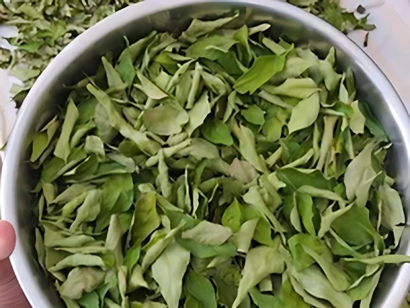 Dried Leaves