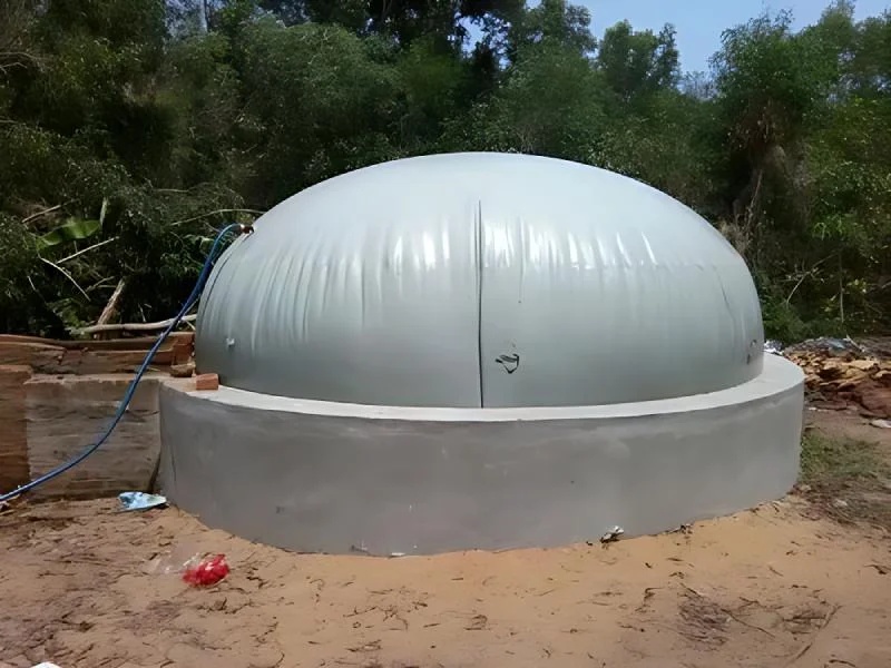 Biogas and Biomass Energy Solutions