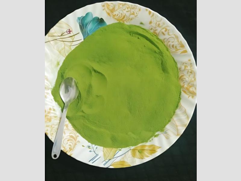 Solar Tunnel Dried Organic Moringa Powder for Nutritional Use