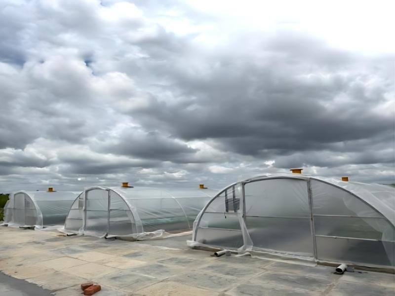 Solar Tunnel Dryer System for Agricultural and Food Processing