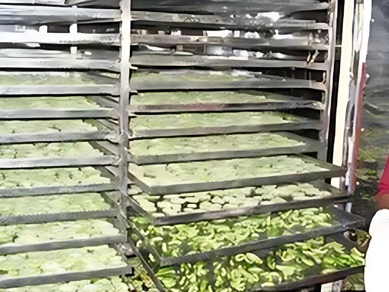 Vegetable Dryer Machine
