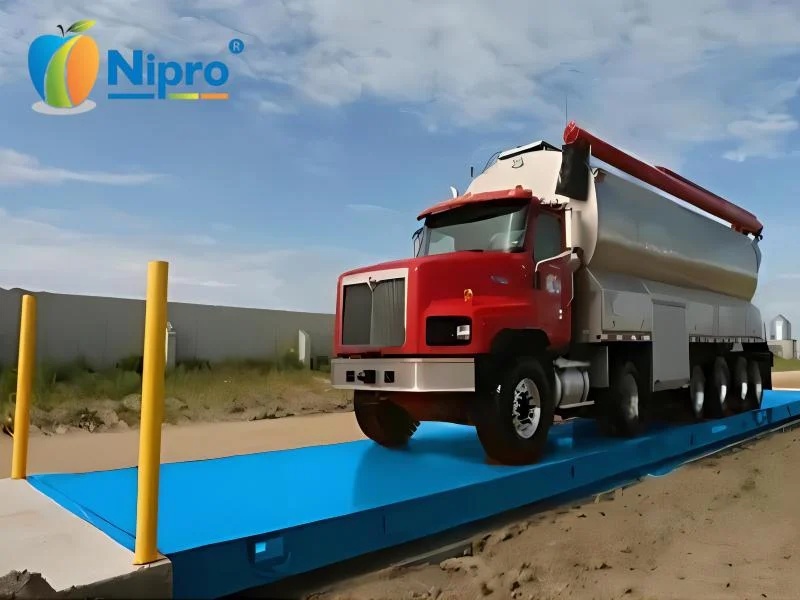 Dairy Farm Weighbridge