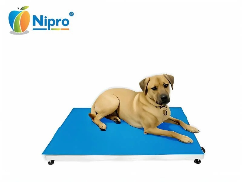 Dog Weighing Scale