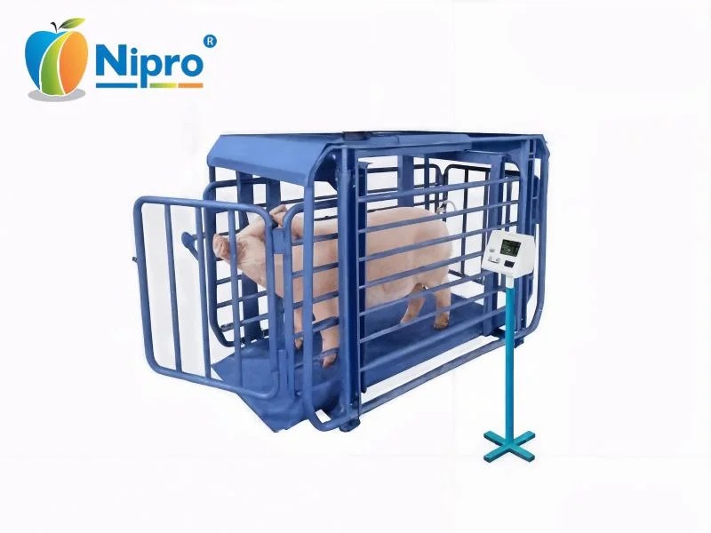 Pit Steel Weighbridges