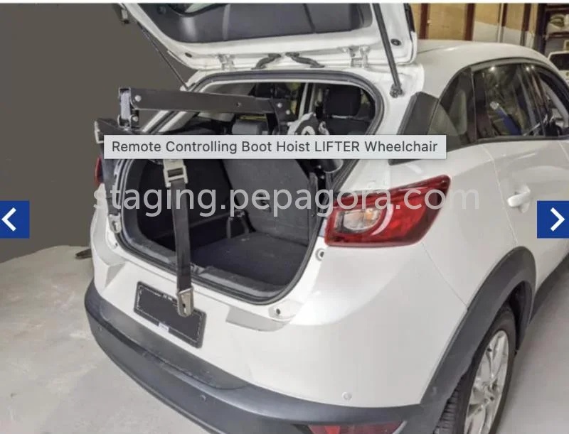 Remote Controlling Boot Hoist LIFTER Wheelchair-BT80