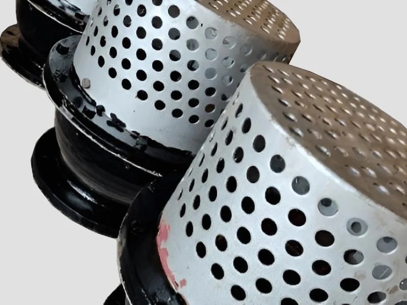 Cast Iron Foot Valves as per IS:4038