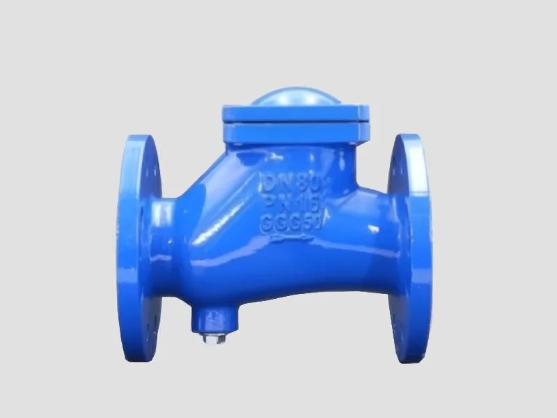 PREETAM® DI Ball Type Check Valves