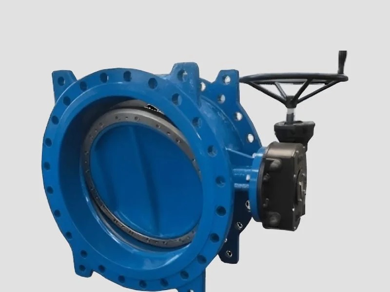  PREETAM® DI Double Eccentric Disc Butterfly Valves