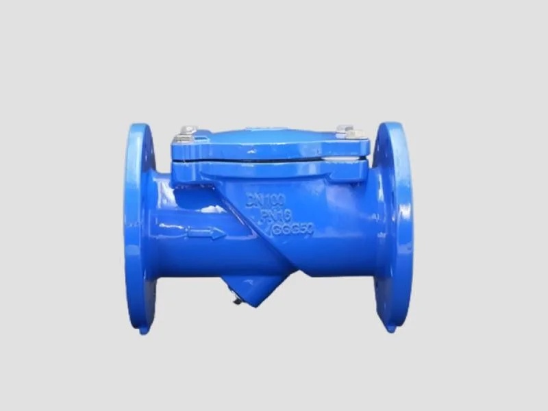  PREETAM® DI Slanted Seat Check Valve