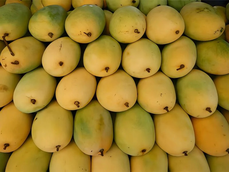 Ethylene Gas For Commercial Fruit Ripening Operations