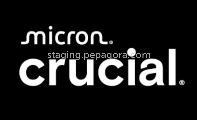 Crucial Distributor Dubai, UAE
