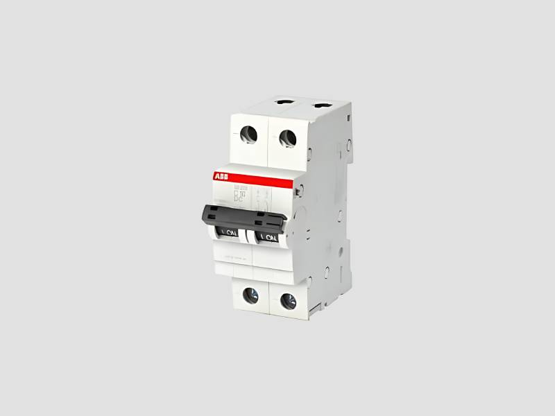 AC MCB DP ABB For Electrical Circuit Protection