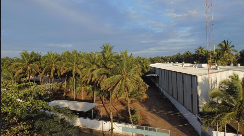 Factory Image