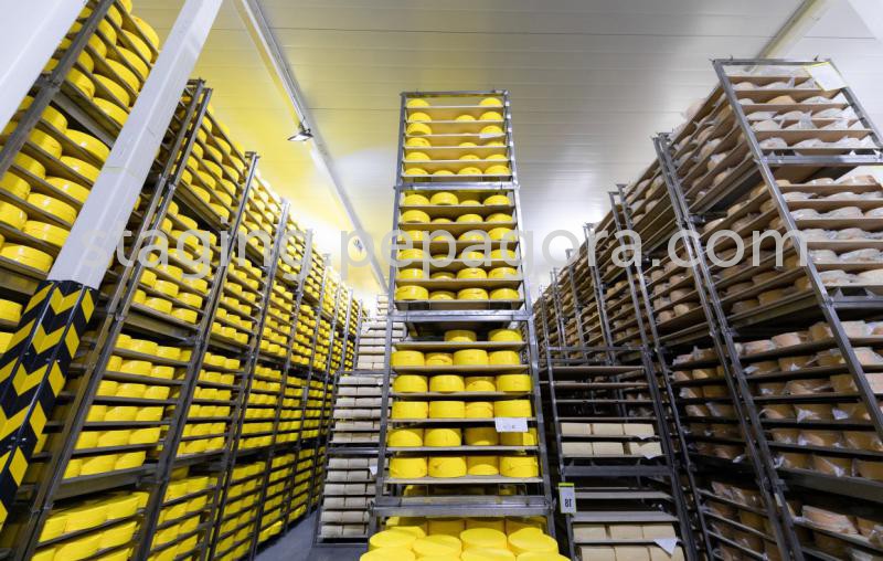 Factory Image
