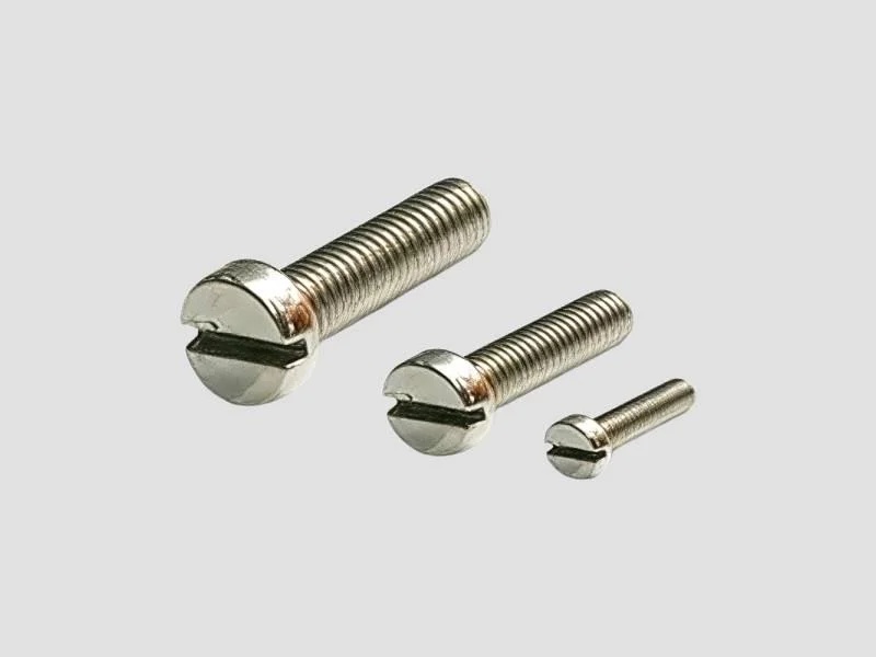 SS Cheese Head Screws