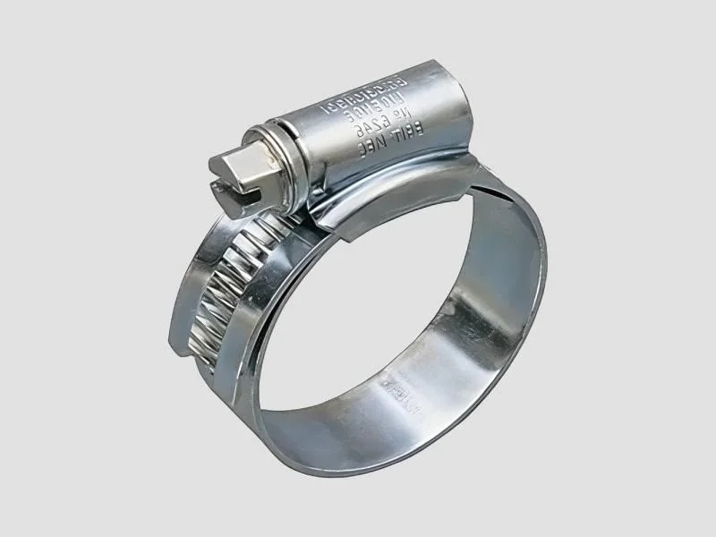 SS Hose clip - Pipe connection tightening
