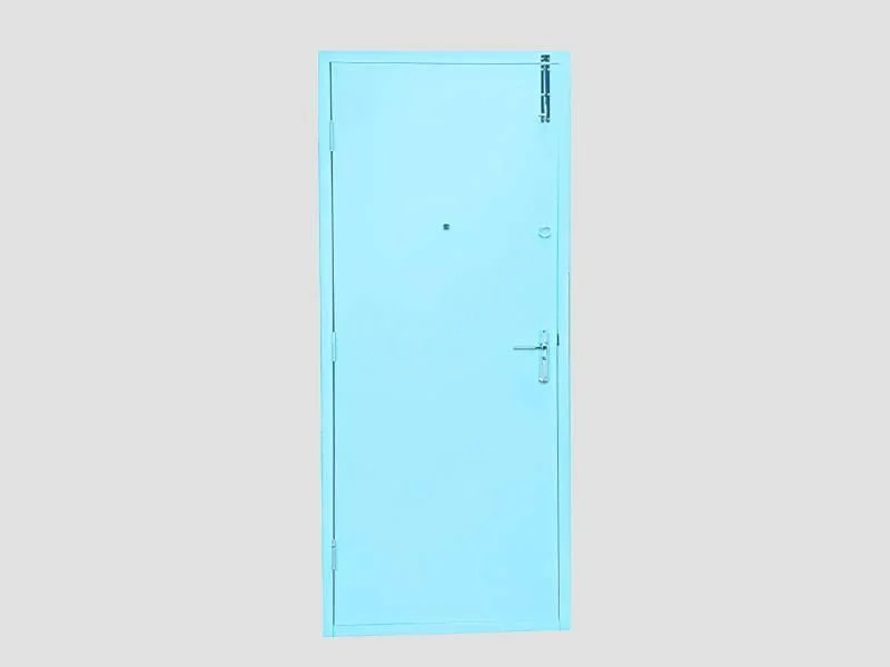 General Purpose Steel Door