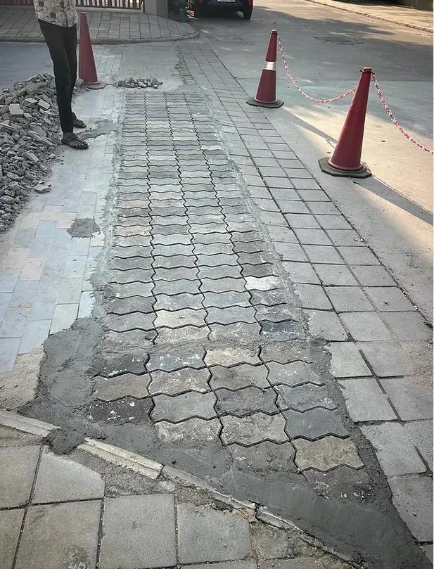 SPB Zig Zag Paver Interlocking Paver Block