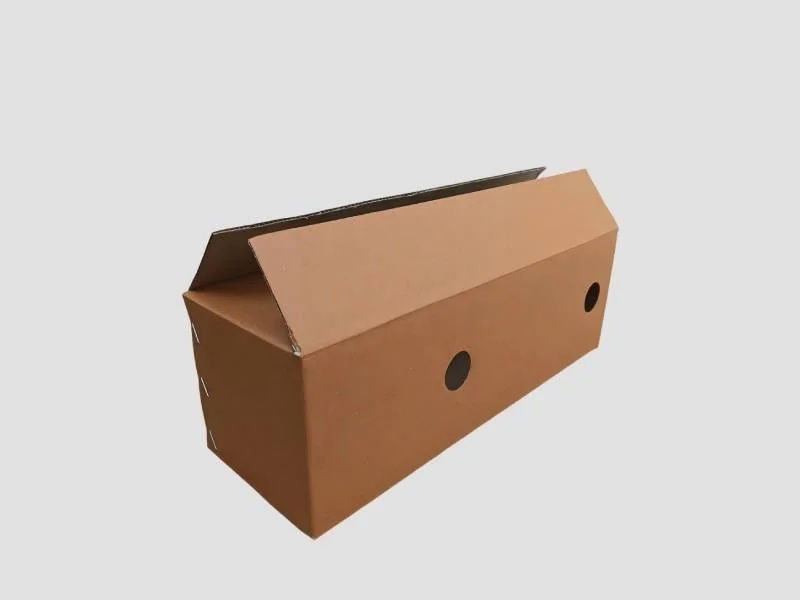 Corrugated Box with Ventilation Holes