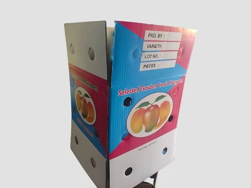 Multicolor with Ventilation Holes