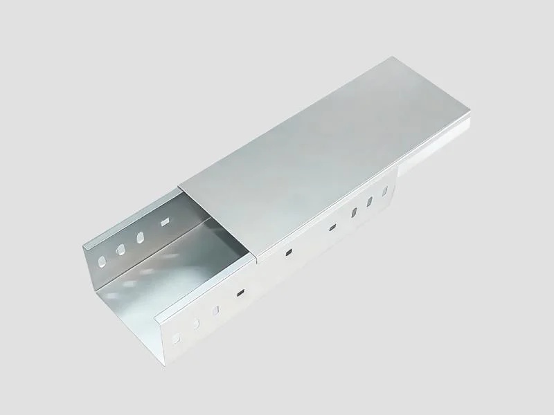 50mm GI Raceway Type Cable Tray