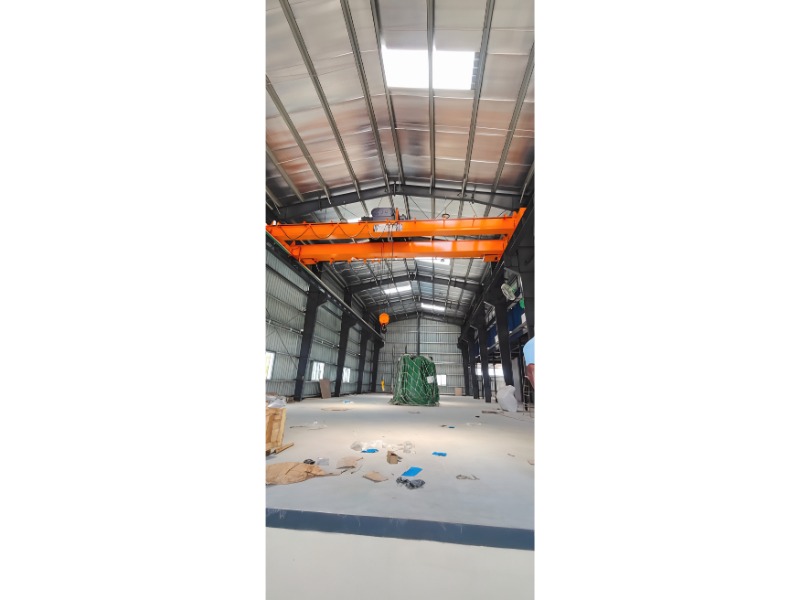 10t DG EOT crane
