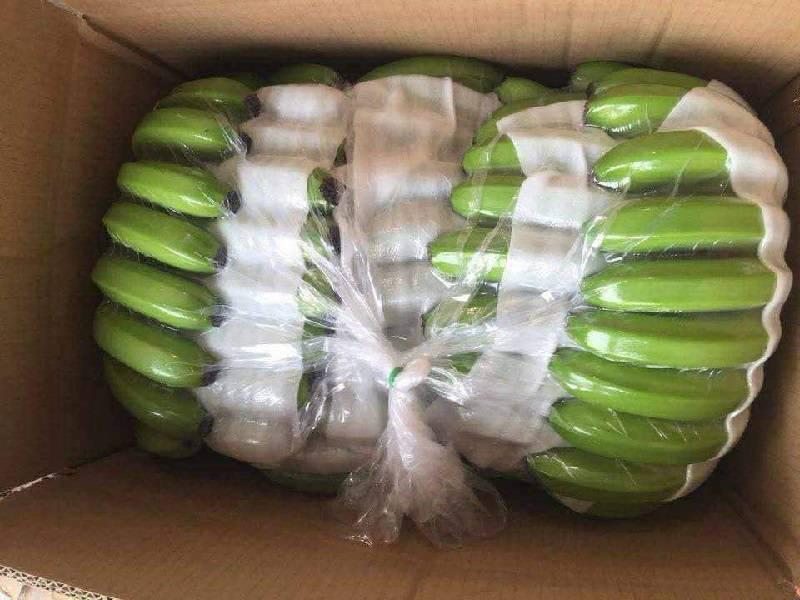 Cavendish Banana – Fresh Table Fruit – Retail & Culinary Use
