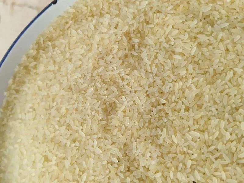 GR11 Rice (Ponni Samba)