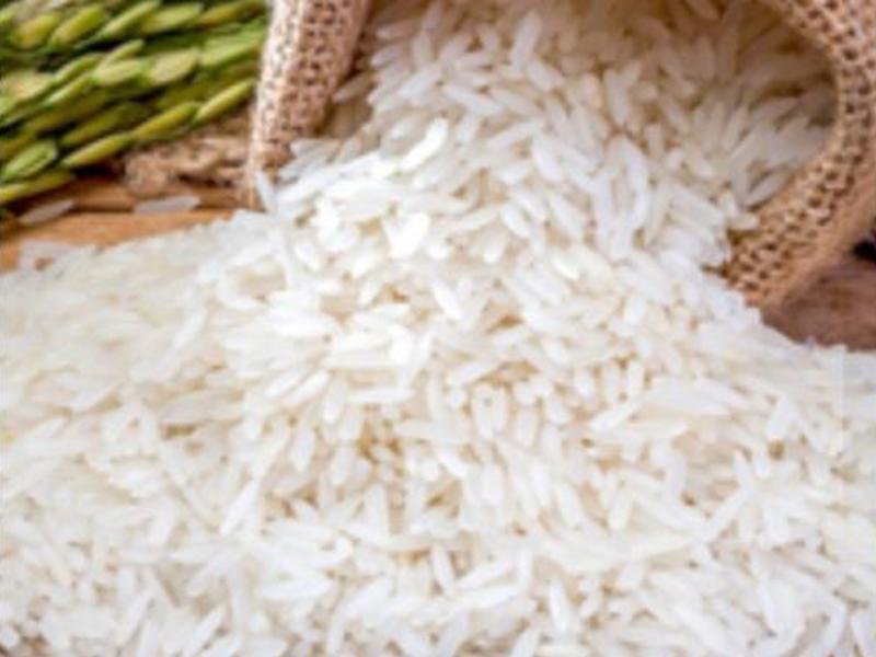 IR64 Long Grain White Rice – Soft Texture – Industrial & Home Use