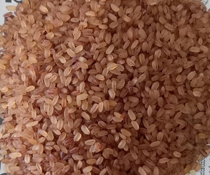 Red Matta Rice – Traditional Kerala Specialty – Bulk & Retail Supply