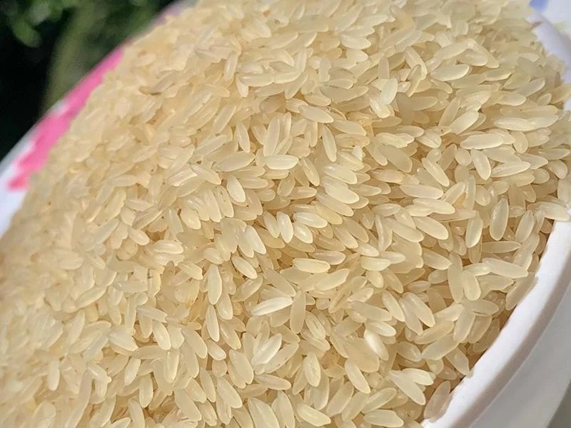 Sona Masuri Parboiled Rice – Medium Grain Aromatic – Food Industry Use
