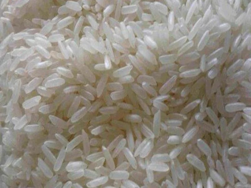 Swarna Masuri White Rice – Soft Texture Medium Grain – Bulk Supply