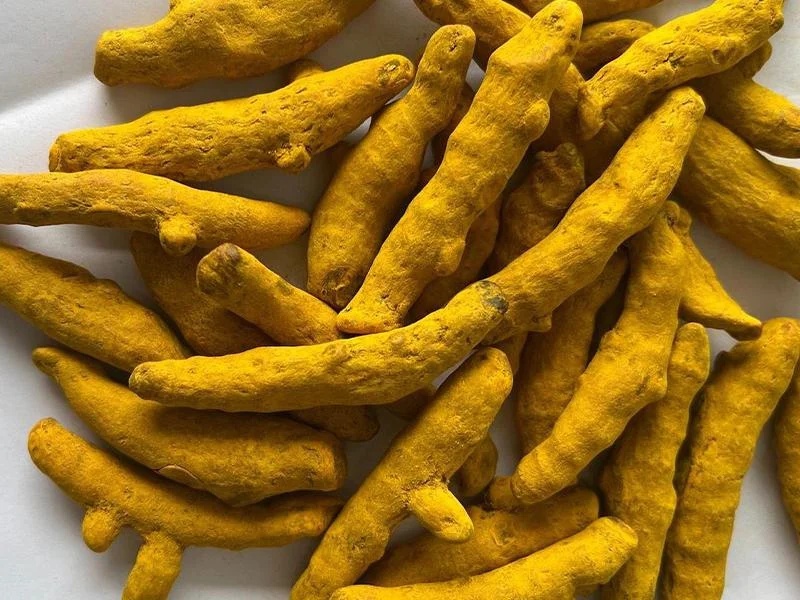 Turmeric Fingers Handpicked – Premium Quality Whole Turmeric – Bulk Supply