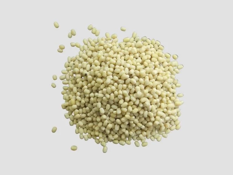 Urid Dal White FAQ – Premium Whole Black Gram – Bulk Supply