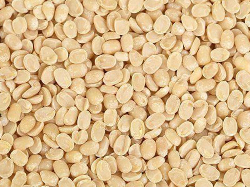 Urid Dal Split – Split Black Gram – Food Industry & Home Use