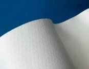 Evergreen Hyacinth Premium Colored Paper for Craft and Printing Use