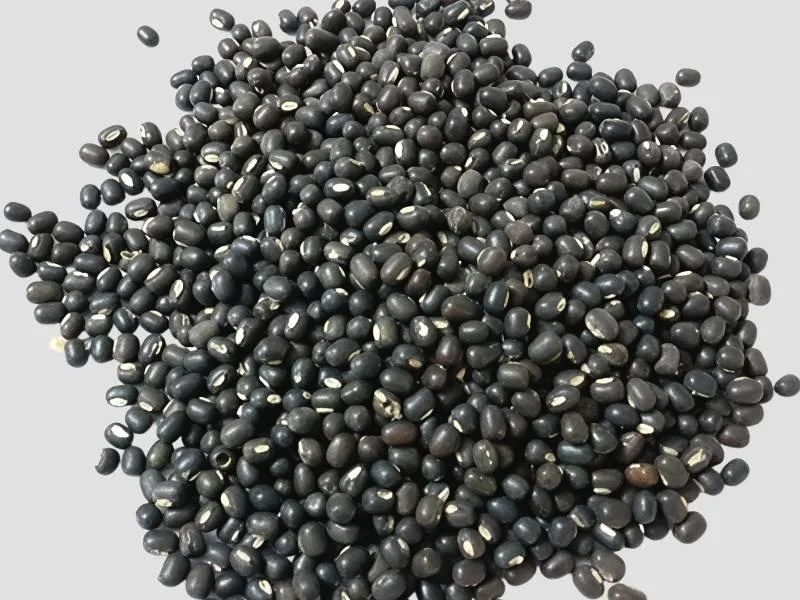 Cooking Dal