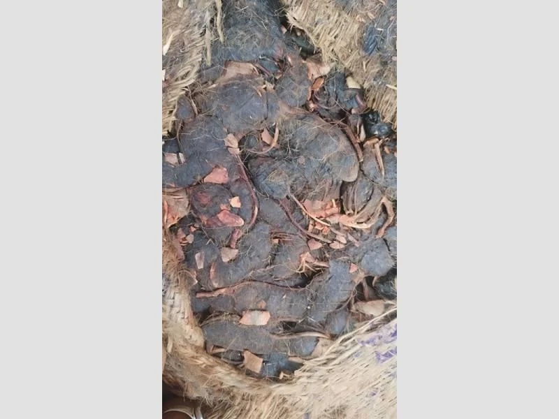 Seeded Tamarind