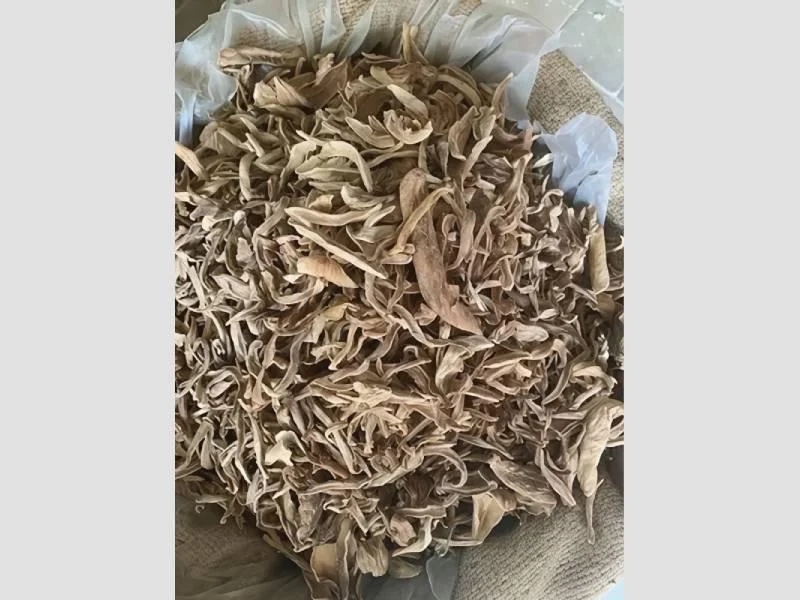 Brown Dry Mango
