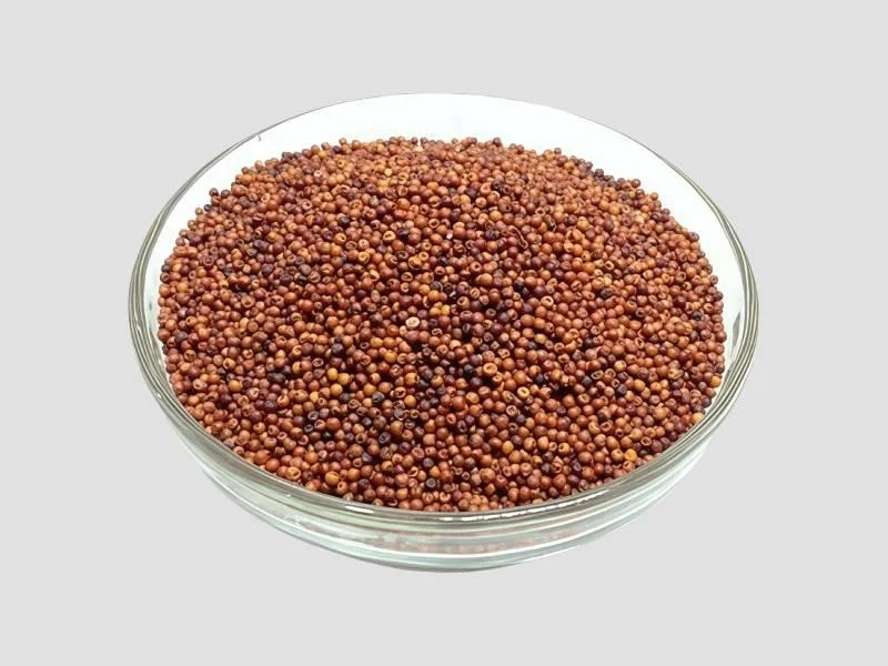 Brown Ragi Seed