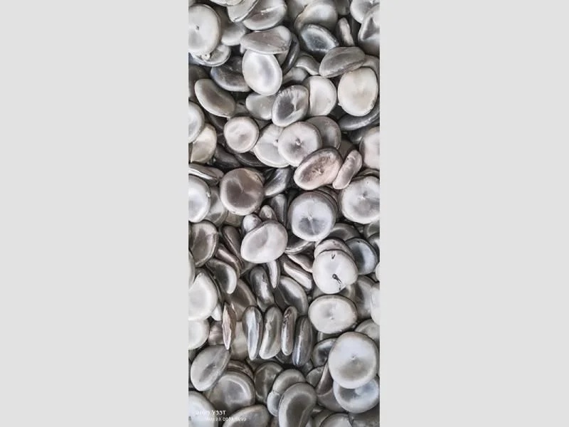 Nux Vomica Seed