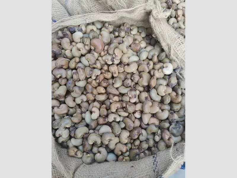 Cashew Nuts