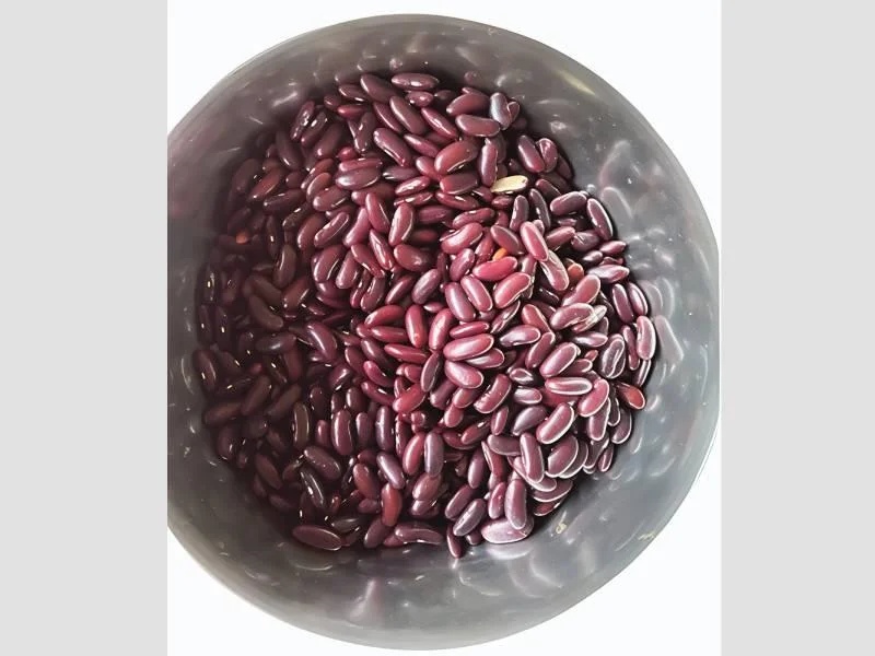 Red Kidney Bean