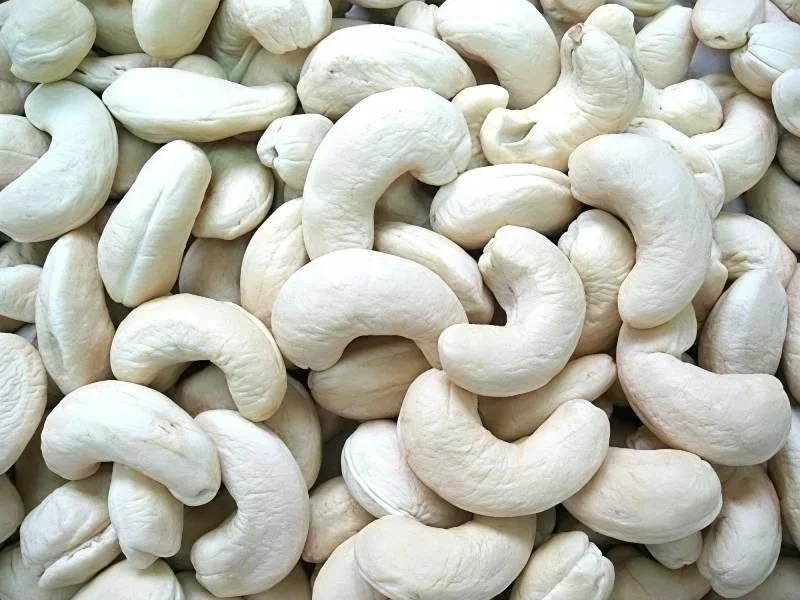 W240 Cashew Nuts