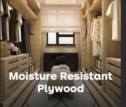 Moisture Resistant (MR) Plywood for Cabinets and Interior Use