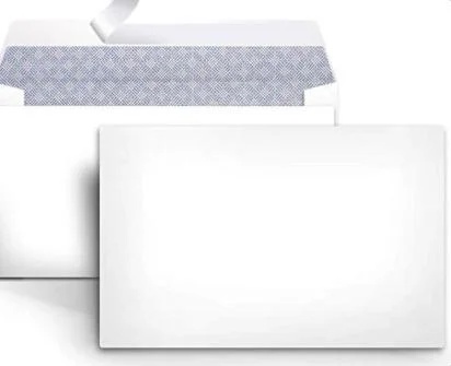 Security Tinted Envelope Confidential Document Mailing